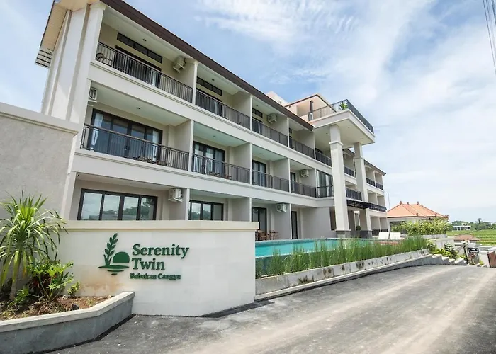 アパート New Serenity Twin Rice Field View Canggu デンパサール